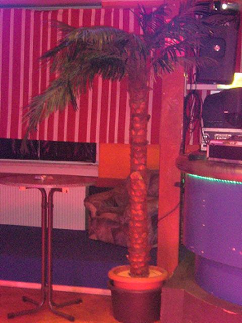 Kunstpflanze Palme 300 cm
